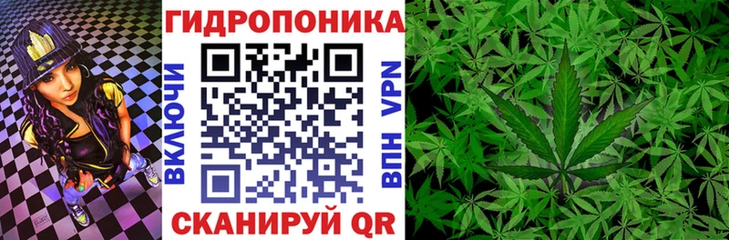 магазин  наркотиков  Ефремов  Каннабис гибрид 